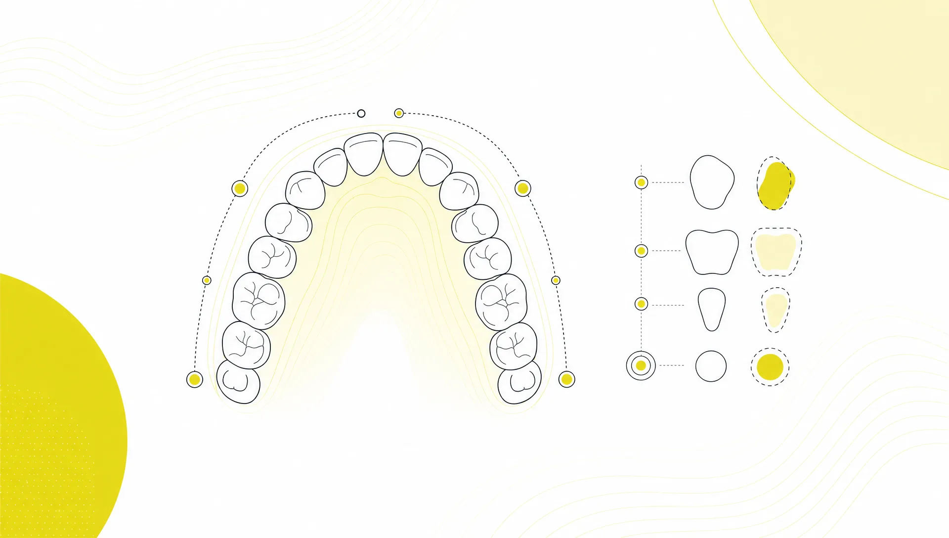 A Guide to Dental Care in Australia for New and Returning Patients - Main Image