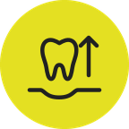 Step 3: the tooth is gently removed